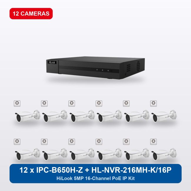 HiLook HL-NVR-216MH-K/16P 16Ch IP Kit with 12 x IPC-B650H-Z Cameras